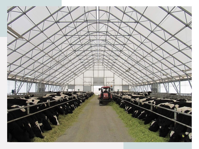 Тентовые коровники в Людиново от 611 руб. - Надежно и доступно