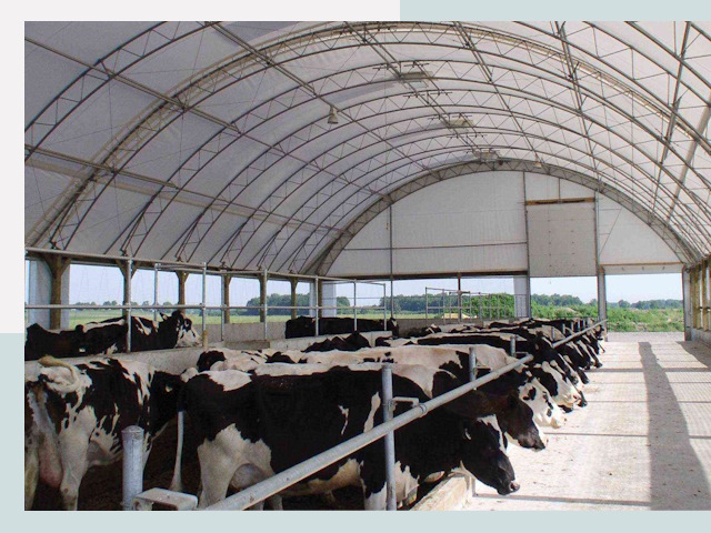 Тентовые коровники в Людиново
